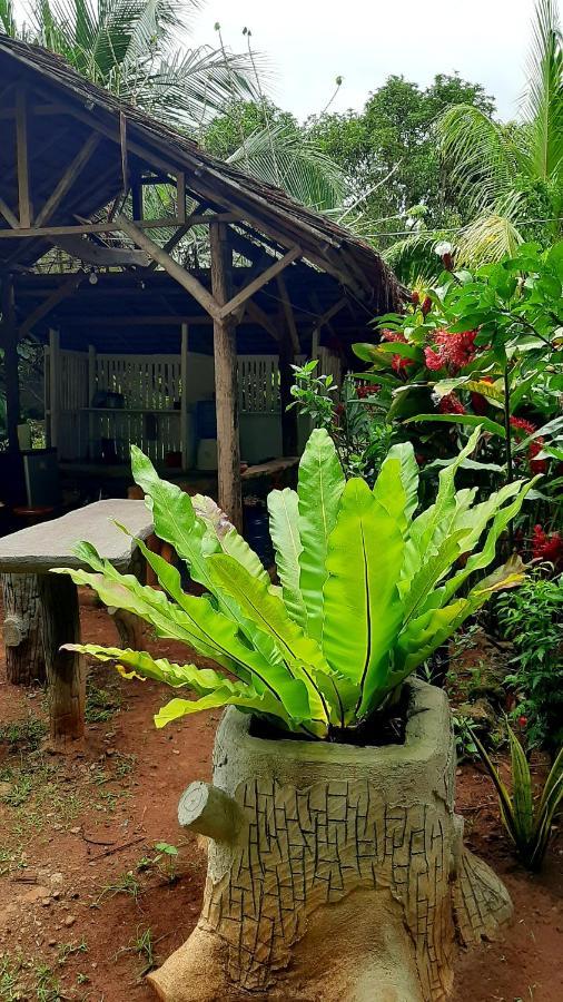 Travis Post Homestay Siquijor Εξωτερικό φωτογραφία