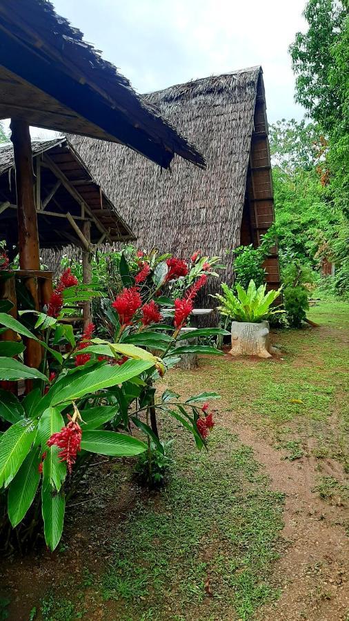 Travis Post Homestay Siquijor Εξωτερικό φωτογραφία