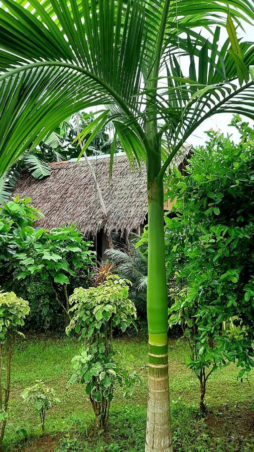 Travis Post Homestay Siquijor Εξωτερικό φωτογραφία